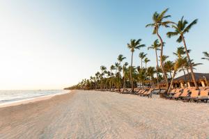 Occidental Punta Cana - All Inclusive في بونتا كانا: شاطئ به كراسي وأشجار النخيل والمحيط