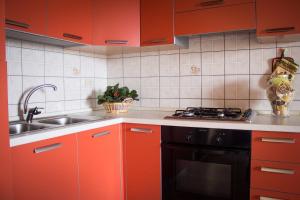 Kuchyň nebo kuchyňský kout v ubytování Residence L'Uddastru