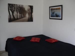 Apartment Sonnenschein في برونلاغ: غرفة نوم مع سرير أسود ومخدات حمراء عليه