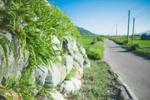 a stone wall with plants on it next to a road at Simple Life in Yuli