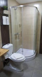 a bathroom with a shower with a toilet and a sink at Hotel Las Calas in Santa Isabel