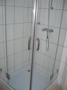 Apartment Sonnenschein في برونلاغ: دش مع باب زجاجي في الحمام
