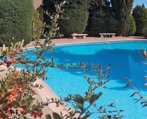 uma grande piscina azul num quintal com árvores em Les Hameaux em Bandol