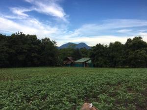 a field with a house in the middle of it at Paipunthong Resort in Pai