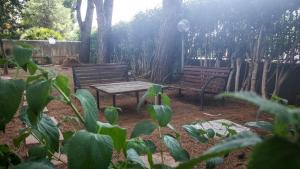 A garden outside Max B&B Fiera