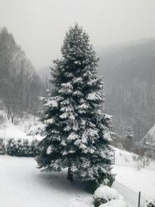 Apartament w Kozubniku z widokiem na góry v zime