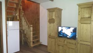 a living room with a tv and a refrigerator at Casele de vacanta Luca & Vicentiu in Botiza