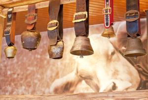 Fotografie z fotogalerie ubytování Hotel Steinmattli v destinaci Adelboden