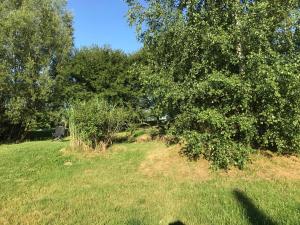 einen grasbewachsenen Hügel mit Bäumen und einem Feld in der Unterkunft Ferienhaus Momo in Nieder-Kinzig