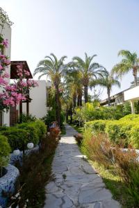 un jardín con palmeras y un camino de piedra en The LifeCo Bodrum Well-Being Detox Center and Vegan Hotel, en Golturkbuku