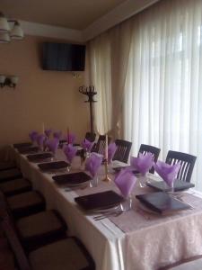 奧拉迪亞的住宿－Vila Gardenia，一张长桌,上面有紫色餐巾和眼镜