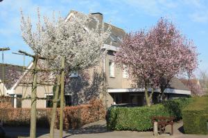 dos árboles con flores rosas delante de un edificio en Magnolia appartement, en Vlijmen