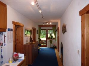 a hallway of a kitchen with a blue carpet at Alpenspirit in Sölden