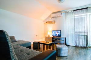 a living room with a couch and a tv at Apartment Kolaković in Slunj