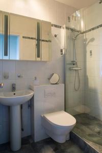 W łazience znajduje się toaleta, umywalka i prysznic. w obiekcie Mont Blanc Views Apartments w mieście Passy
