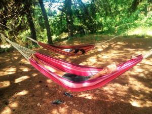 two people laying in hammocks in a forest at Quercus Apartment in Stara Baška