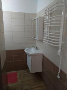 A bathroom at Turistická ubytovňa Chalupa Runina 8 Még 37 kép