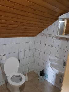 Koupelna v ubytování Apartmány Sára