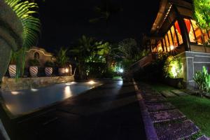 a house with a swimming pool at night at Villa Gede Private Guest House in Selemadeg