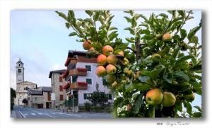 a tree with apples on it in front of a building at Hotel Franca in Tovo di Sant'Agata