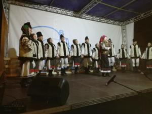 Hosté ubytování Pensiunea Flori de Camp