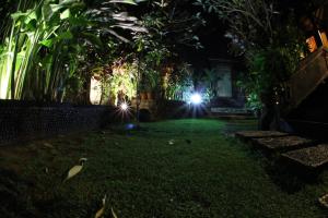 a garden at night with two lights in the background at Villa Gede Private Guest House in Selemadeg