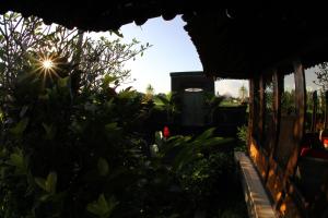 a view of a garden from the outside of a house at Villa Gede Private Guest House in Selemadeg