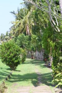 a row of trees in a field of grass at Villa Gede Private Guest House in Selemadeg