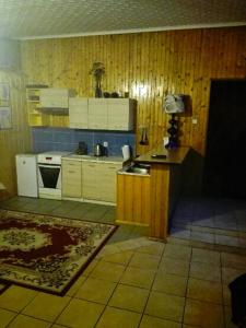 a kitchen with wooden walls and wooden cabinets and a stove at Apartamenty w Karkonoszach in Miłków