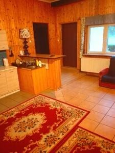 ein Wohnzimmer mit einem roten Teppich auf dem Boden in der Unterkunft Apartamenty w Karkonoszach in Miłków