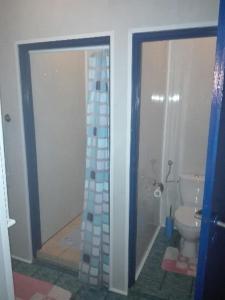 a bathroom with a shower and a toilet in it at Apartamenty w Karkonoszach in Miłków