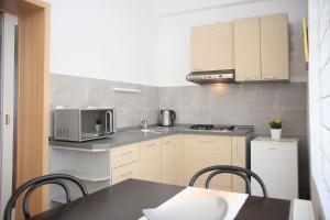 Kuchyň nebo kuchyňský kout v ubytování Guesthouse Marta