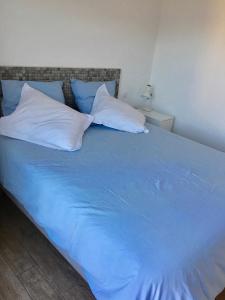プロプリアノにあるCasasgiu mer, montagne et calmeの青いベッド(枕2つ付)