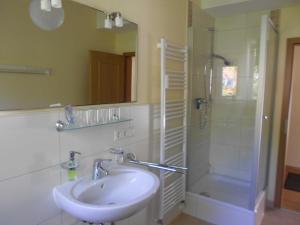 een badkamer met een wastafel en een douche met een spiegel bij Quartier 1 in Freiburg im Breisgau