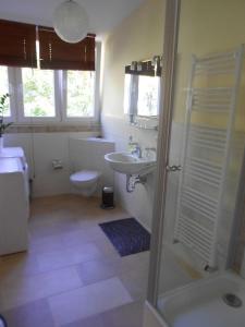 La salle de bains est pourvue d'une douche, d'un lavabo et de toilettes. dans l'établissement Quartier 1, à Fribourg-en-Brisgau