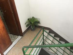Fotografie z fotogalerie ubytování Aliante Turist House v destinaci Pisa