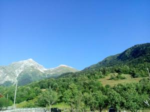 Priroda u blizini pansiona