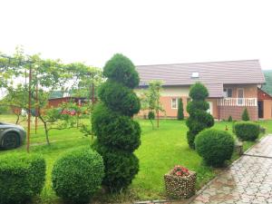 a group of bushes in a yard with a house at Casa Neagu in Covasna