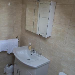een badkamer met een witte wastafel en een spiegel bij Greenway View B&B in Newport