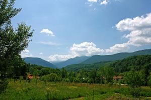 Táj Show holiday homes közelében