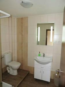 uma casa de banho com um WC, um lavatório e um espelho. em Penzion a Vinarstvi Vavricek em Březí