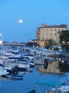 マンドリュー・ラ・ナプールにあるBord de mer avec vueの夜間のマリーナに停泊する船