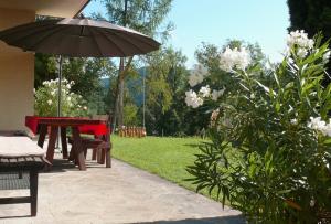 Zahrada ubytování Ferienwohnung Eichler + 37 fotografií
