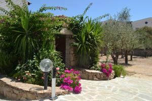 a garden with pink flowers and a street light at Etesia in Olbia