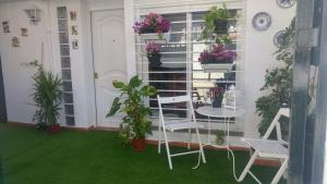 A garden outside Casa Dale