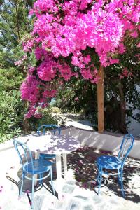 
a patio table with chairs and umbrellas on a sunny day at Hotel - Apartments Delfini in Kissamos
