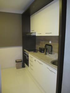 Genex Apartment的厨房或小厨房