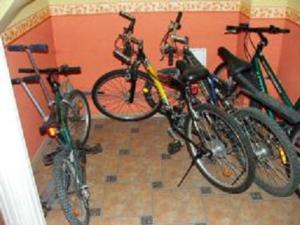 Jazda na bicykli v okolí ubytovania Pokoje Gościnne, Kudowa-Słone 62 + 3 fotografie