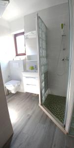 a bathroom with a shower and a sink and a toilet at Accommodation Maria Di, Free Parking, Sea View in Dubrovnik