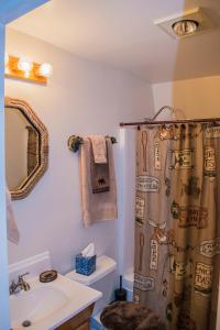 baño con lavabo y cortina de ducha en Aspen Meadow Cabin en Duck Creek Village